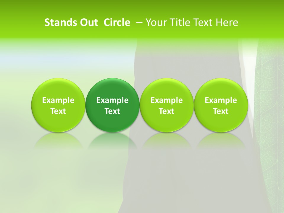 Summer Cork Land PowerPoint Template