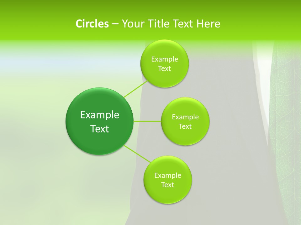 Summer Cork Land PowerPoint Template