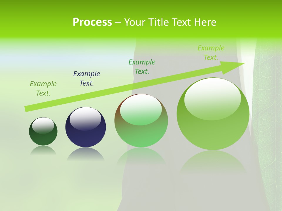 Summer Cork Land PowerPoint Template