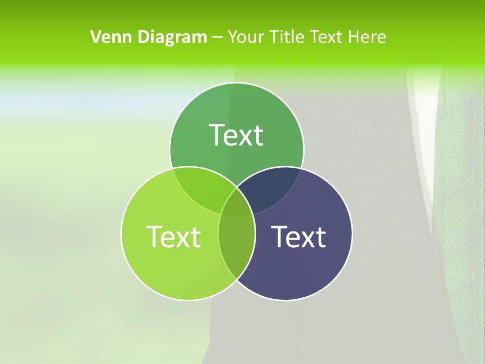 Summer Cork Land PowerPoint Template