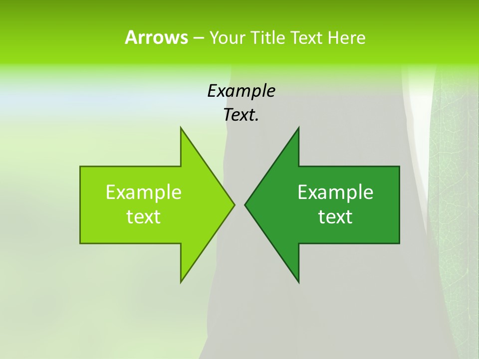 Summer Cork Land PowerPoint Template