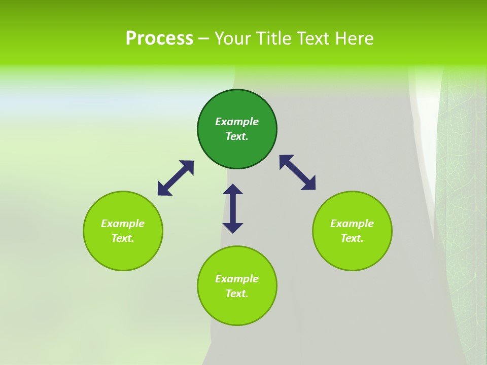 Summer Cork Land PowerPoint Template