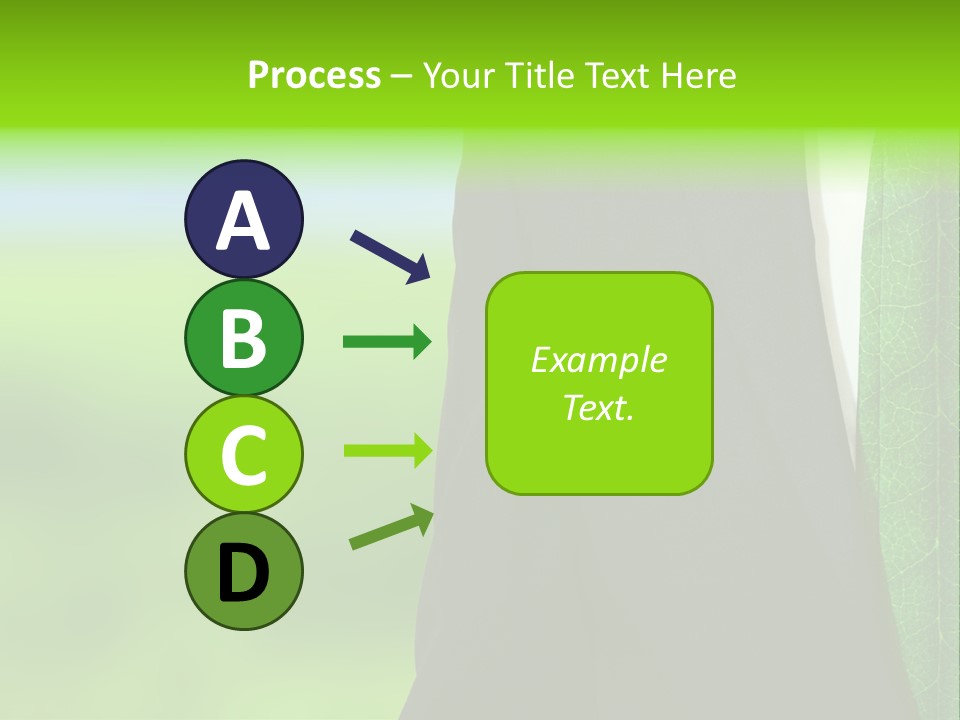 Summer Cork Land PowerPoint Template