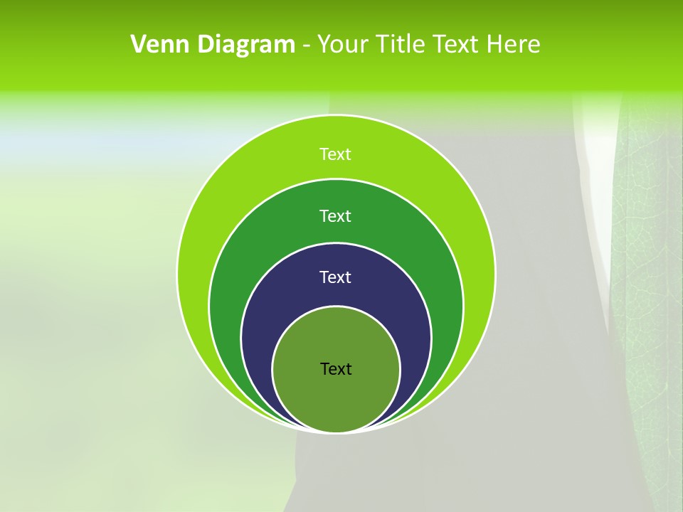 Summer Cork Land PowerPoint Template