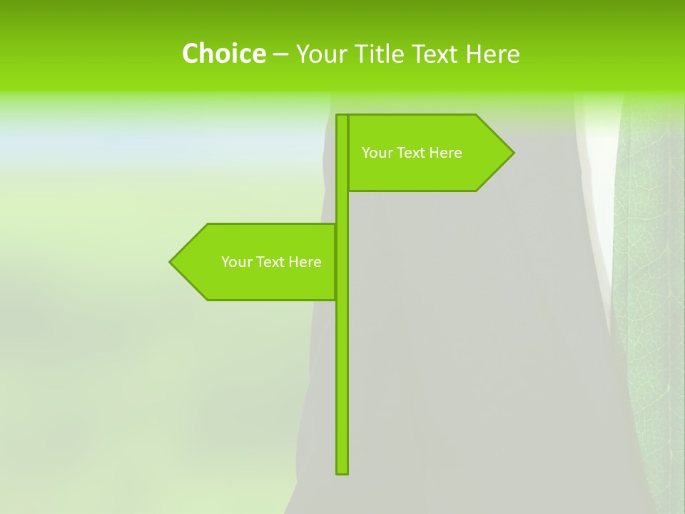 Summer Cork Land PowerPoint Template