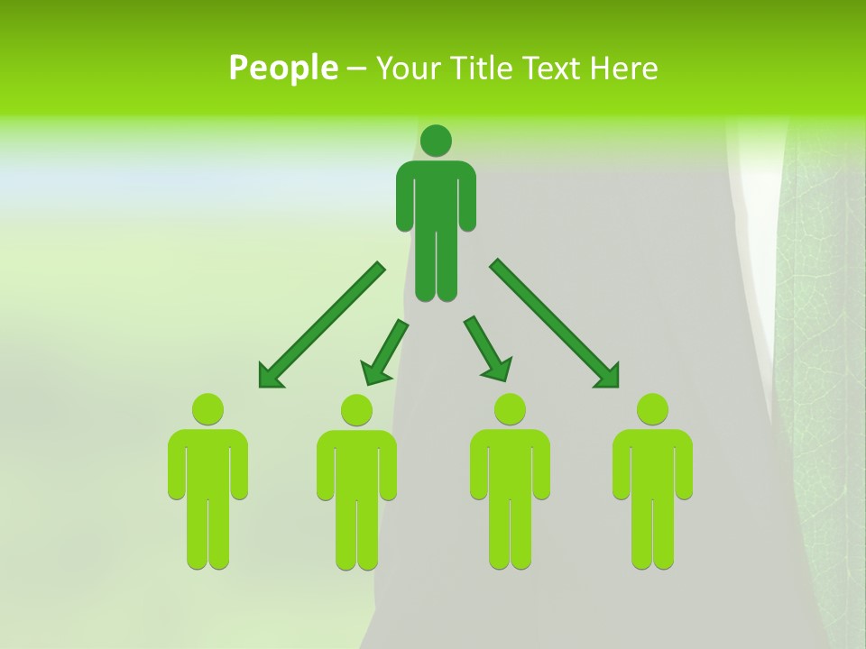 Summer Cork Land PowerPoint Template