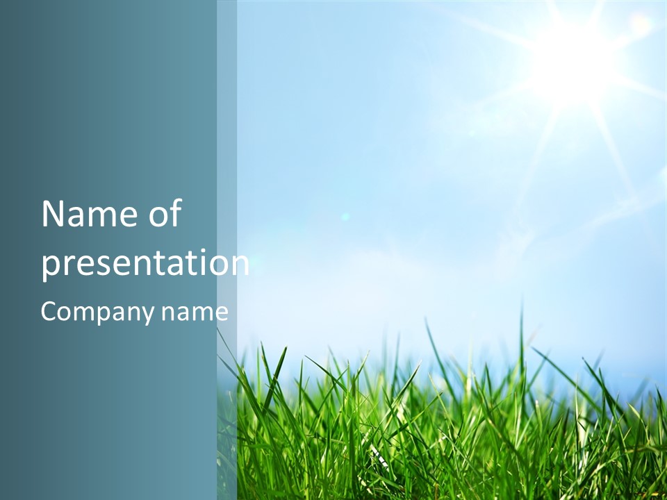 Sun Summer Tree PowerPoint Template