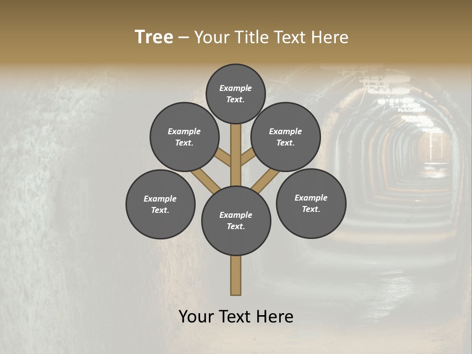 Drift Stone Exploration PowerPoint Template