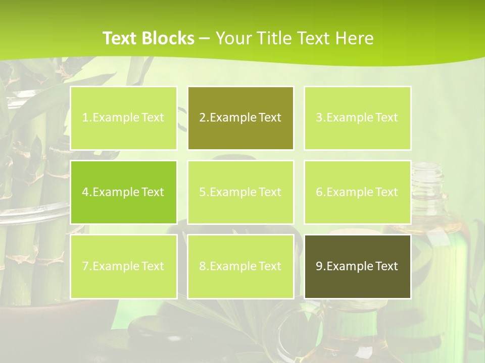 Pyramid Beauty Therapy PowerPoint Template