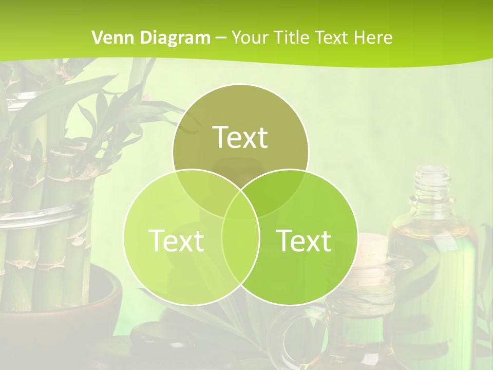 Pyramid Beauty Therapy PowerPoint Template