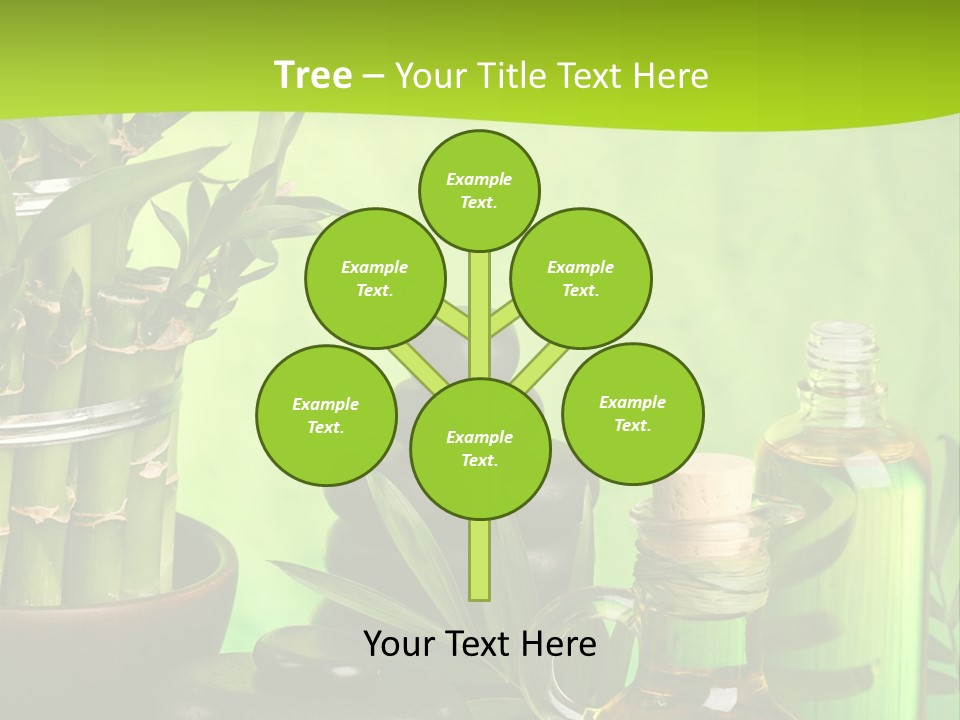 Pyramid Beauty Therapy PowerPoint Template