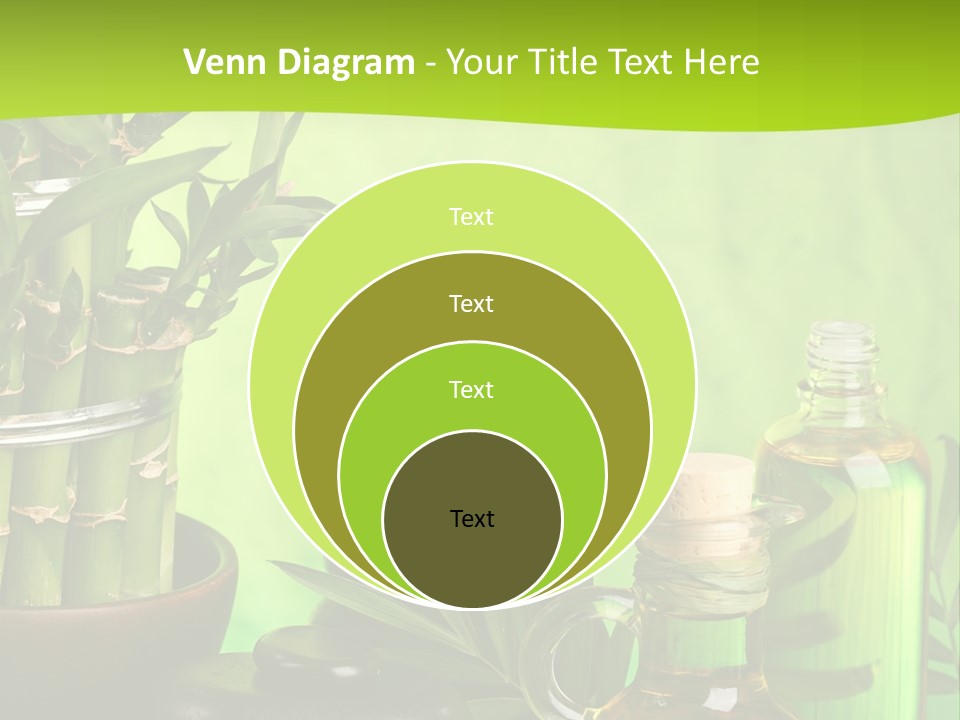 Pyramid Beauty Therapy PowerPoint Template