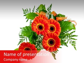 Gift Isolated Decorative PowerPoint Template