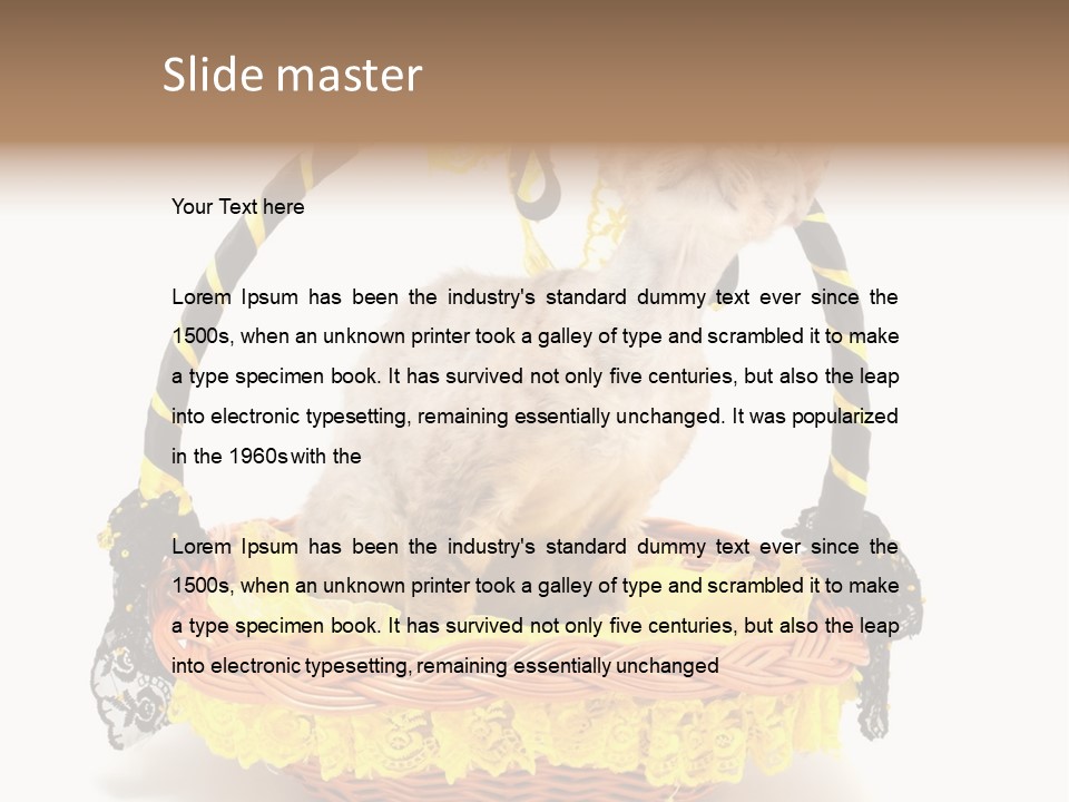 Pet Breed Devonrex PowerPoint Template