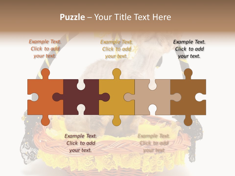 Pet Breed Devonrex PowerPoint Template