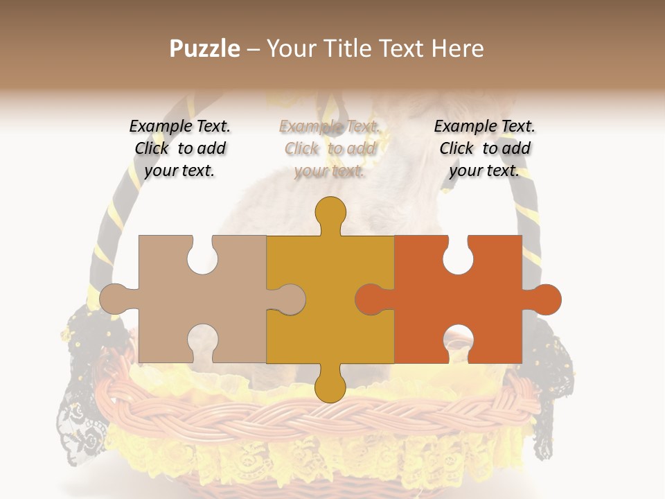 Pet Breed Devonrex PowerPoint Template