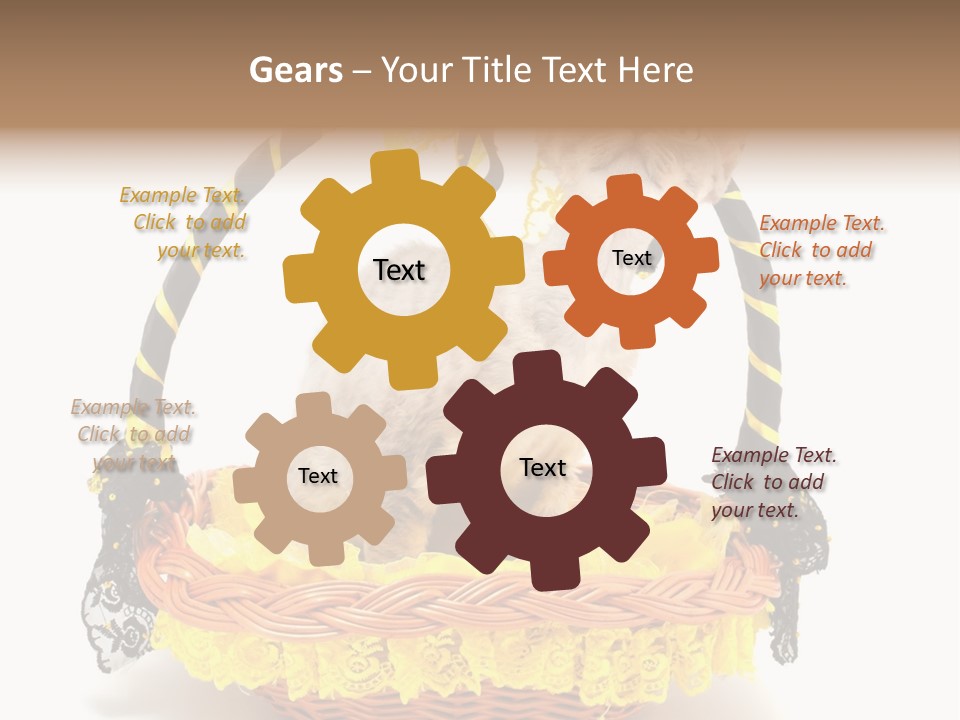 Pet Breed Devonrex PowerPoint Template