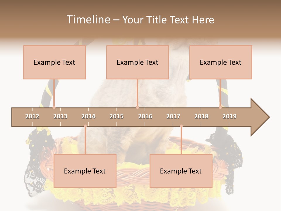 Pet Breed Devonrex PowerPoint Template