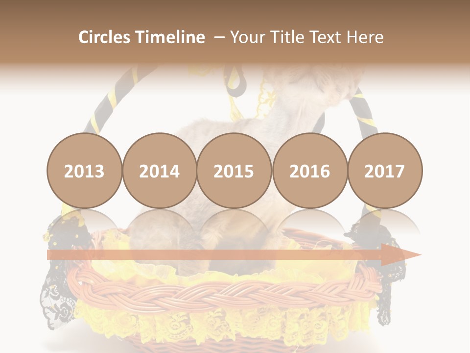 Pet Breed Devonrex PowerPoint Template