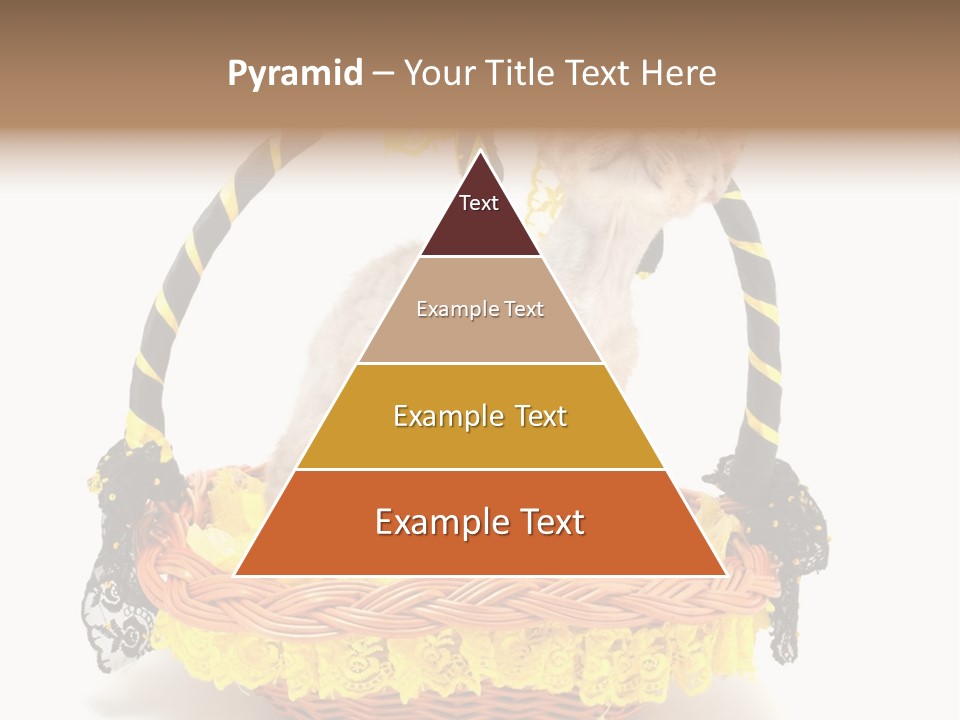 Pet Breed Devonrex PowerPoint Template