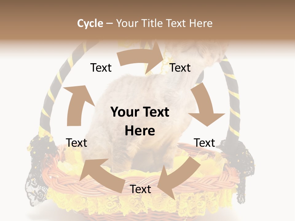 Pet Breed Devonrex PowerPoint Template