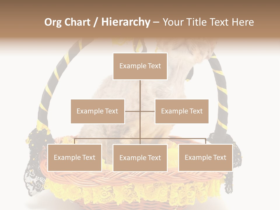 Pet Breed Devonrex PowerPoint Template