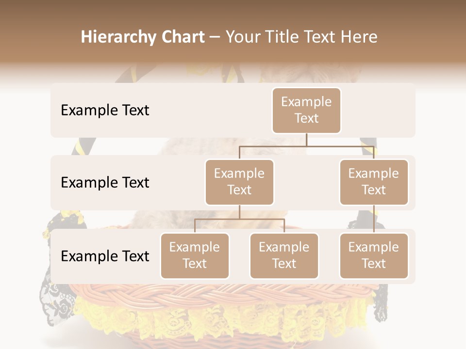 Pet Breed Devonrex PowerPoint Template