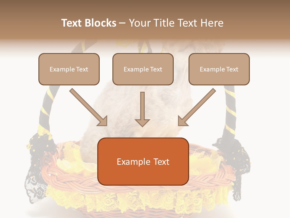 Pet Breed Devonrex PowerPoint Template