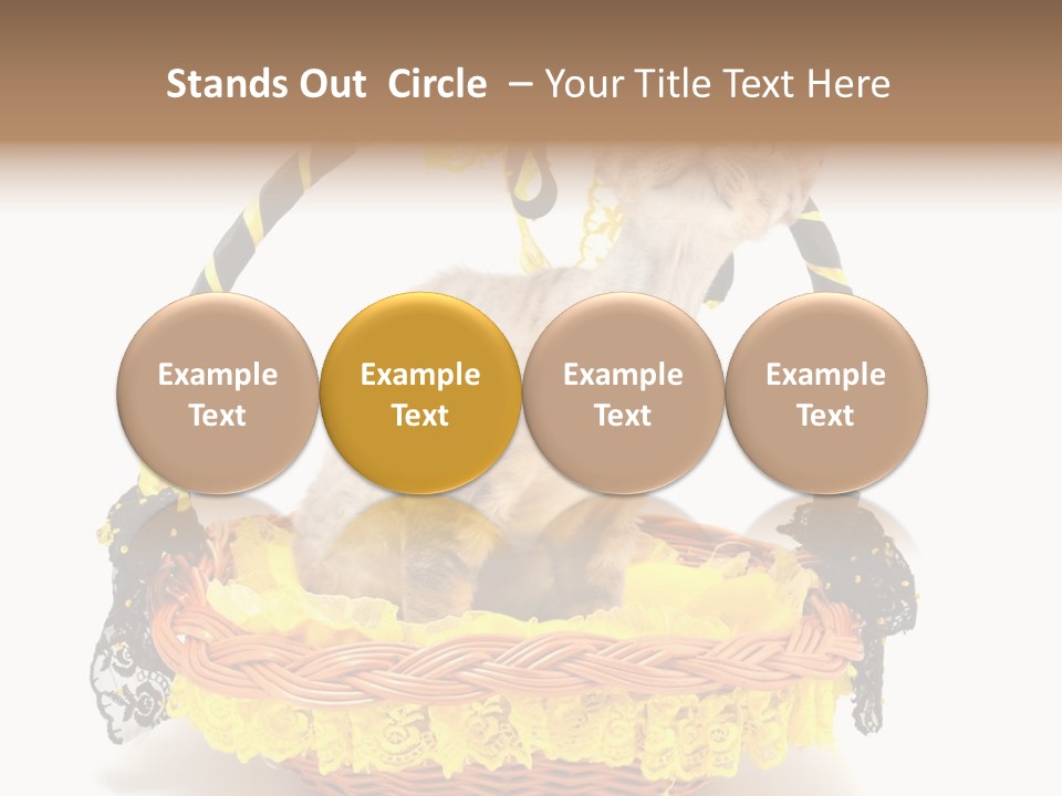 Pet Breed Devonrex PowerPoint Template