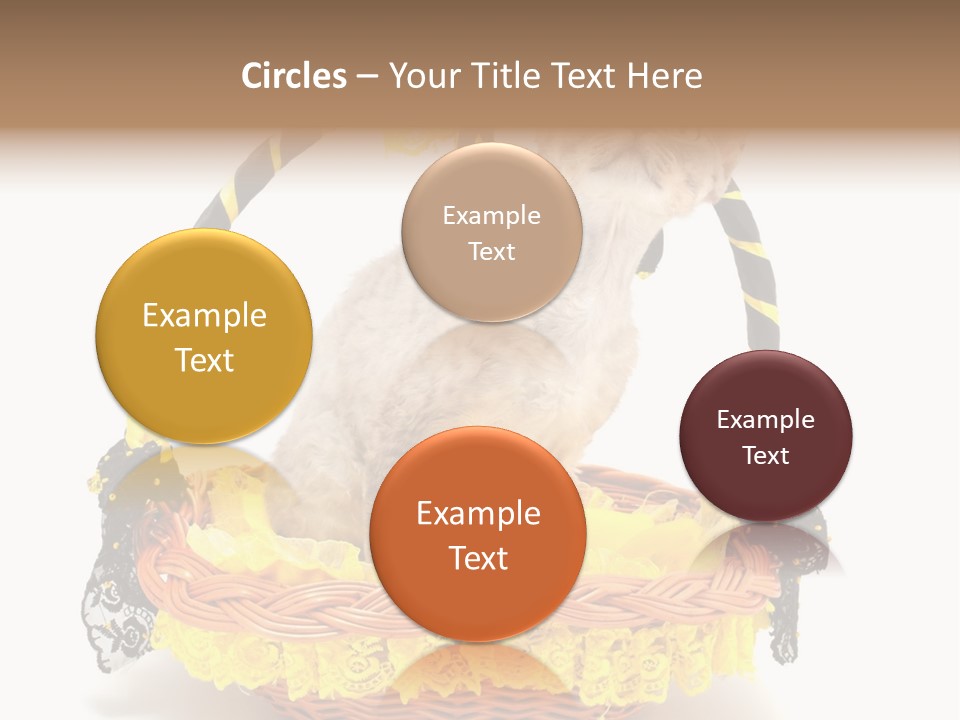 Pet Breed Devonrex PowerPoint Template