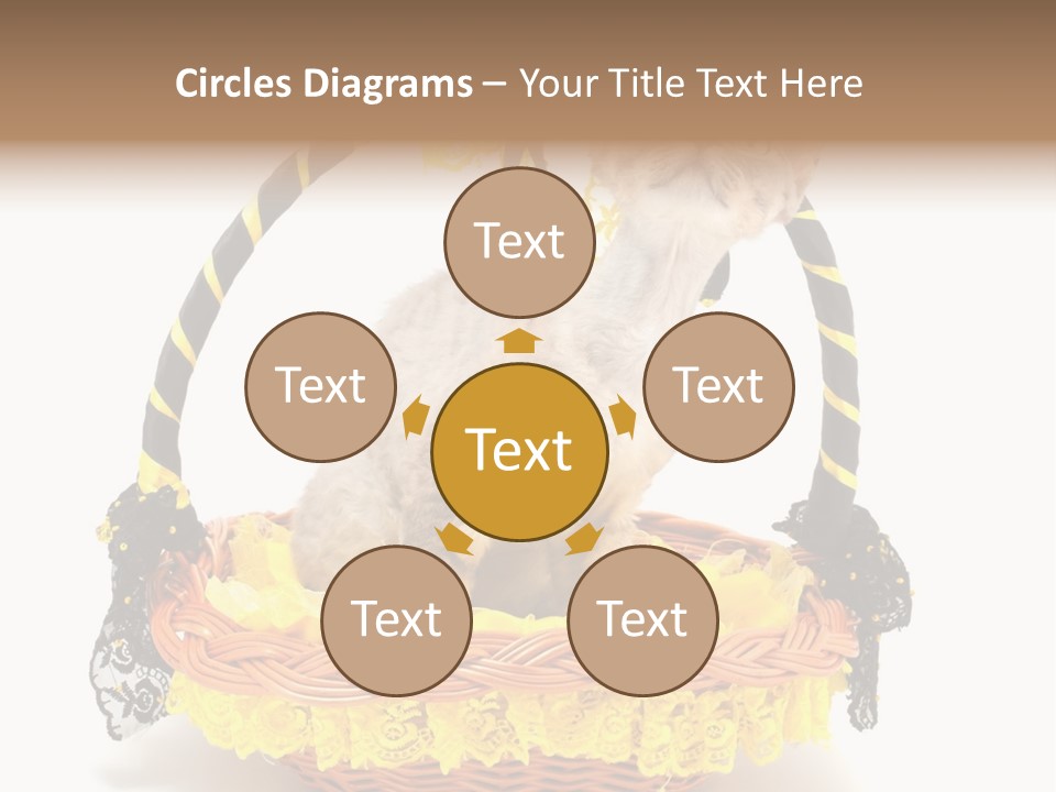 Pet Breed Devonrex PowerPoint Template