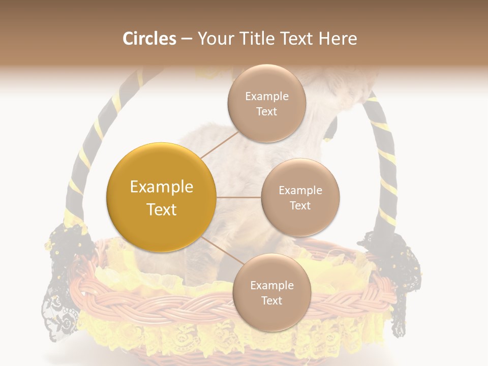 Pet Breed Devonrex PowerPoint Template