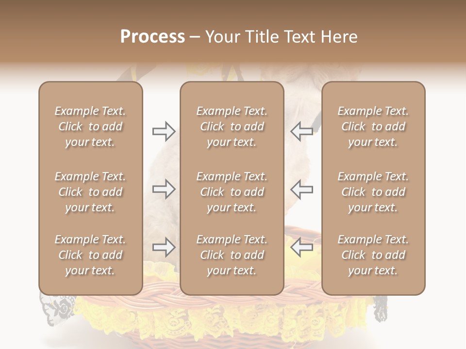 Pet Breed Devonrex PowerPoint Template