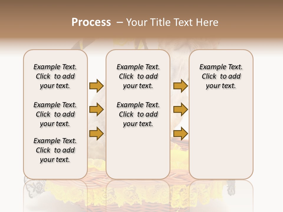 Pet Breed Devonrex PowerPoint Template