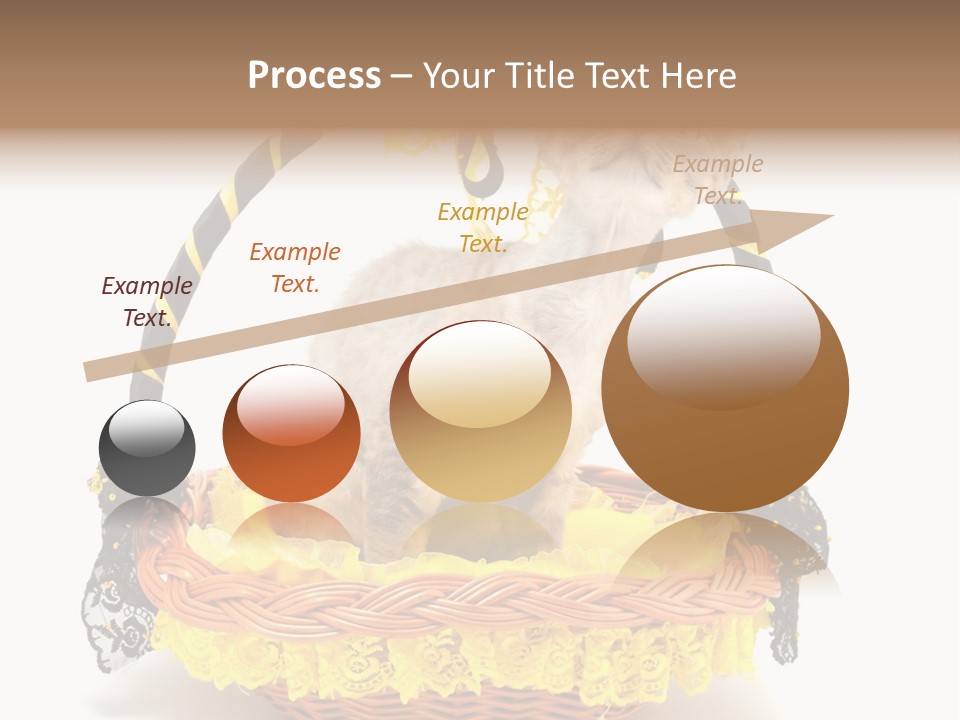 Pet Breed Devonrex PowerPoint Template