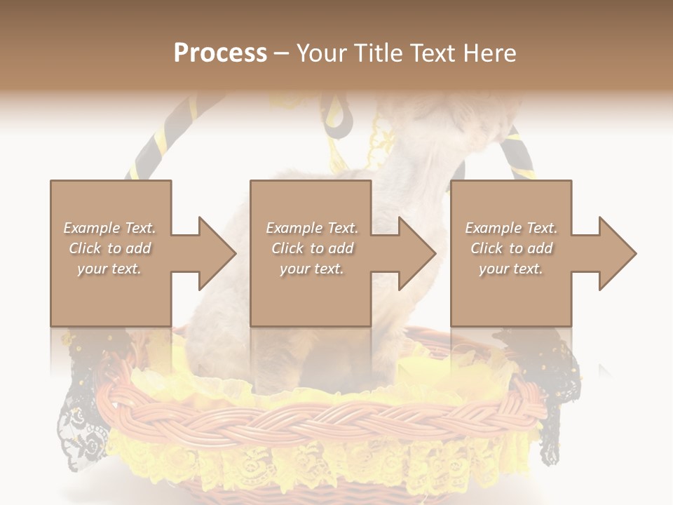 Pet Breed Devonrex PowerPoint Template