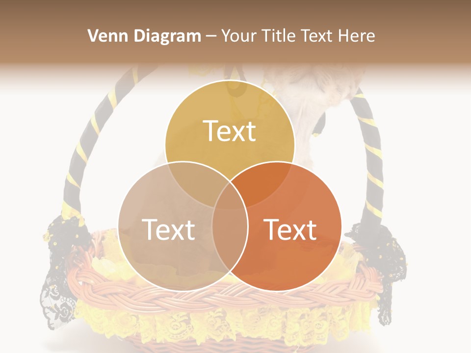 Pet Breed Devonrex PowerPoint Template