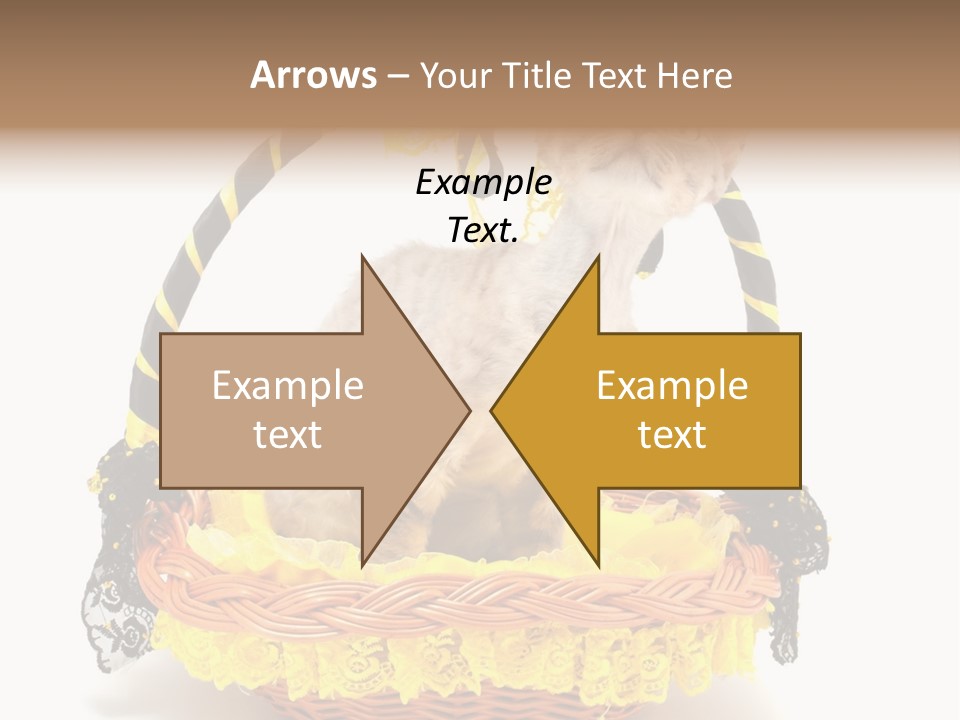 Pet Breed Devonrex PowerPoint Template