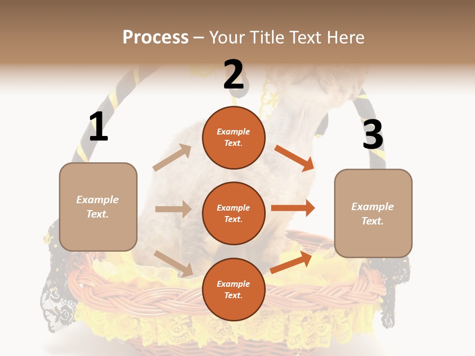 Pet Breed Devonrex PowerPoint Template