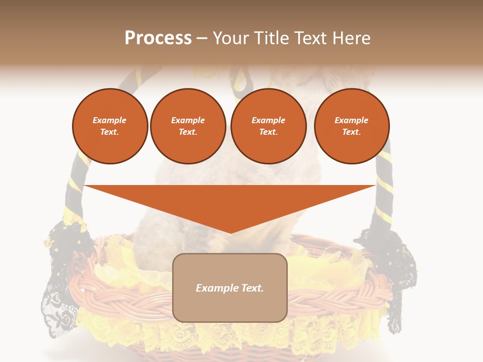 Pet Breed Devonrex PowerPoint Template