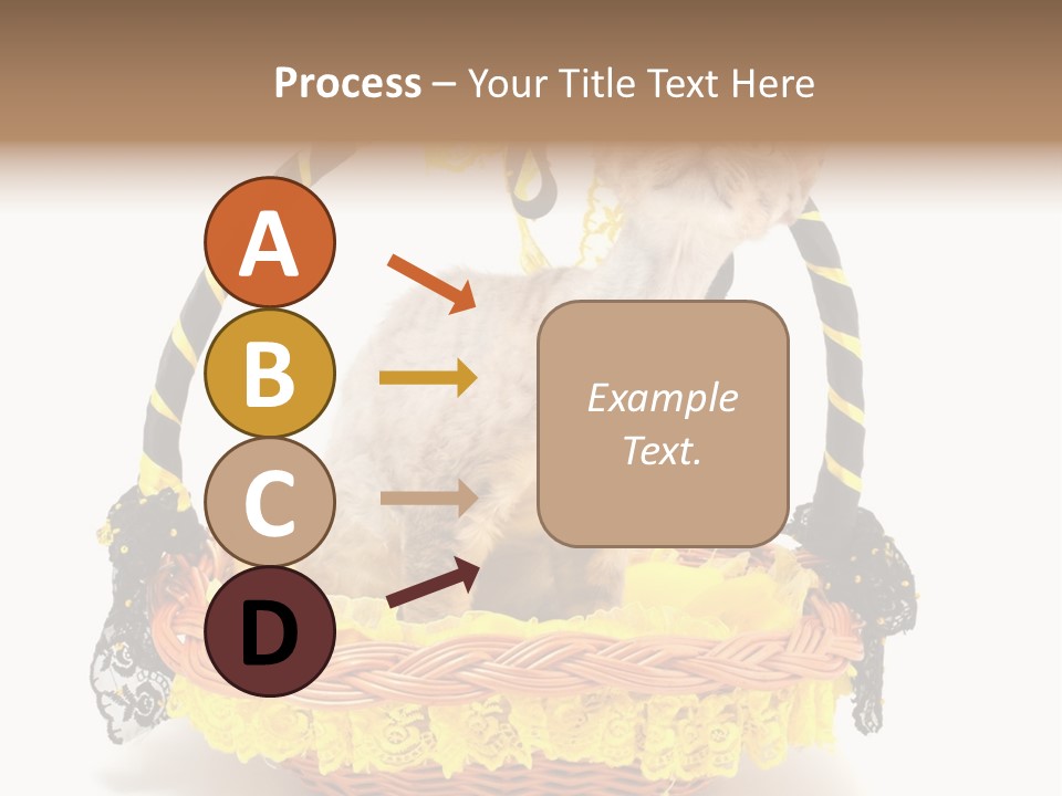 Pet Breed Devonrex PowerPoint Template