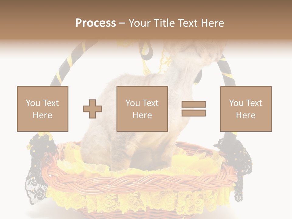 Pet Breed Devonrex PowerPoint Template