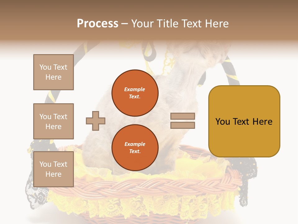 Pet Breed Devonrex PowerPoint Template
