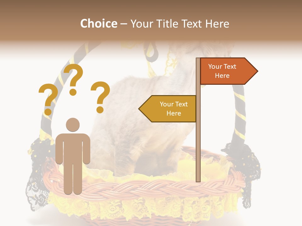 Pet Breed Devonrex PowerPoint Template