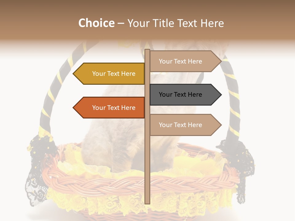 Pet Breed Devonrex PowerPoint Template