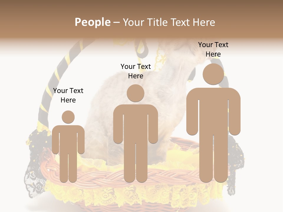 Pet Breed Devonrex PowerPoint Template