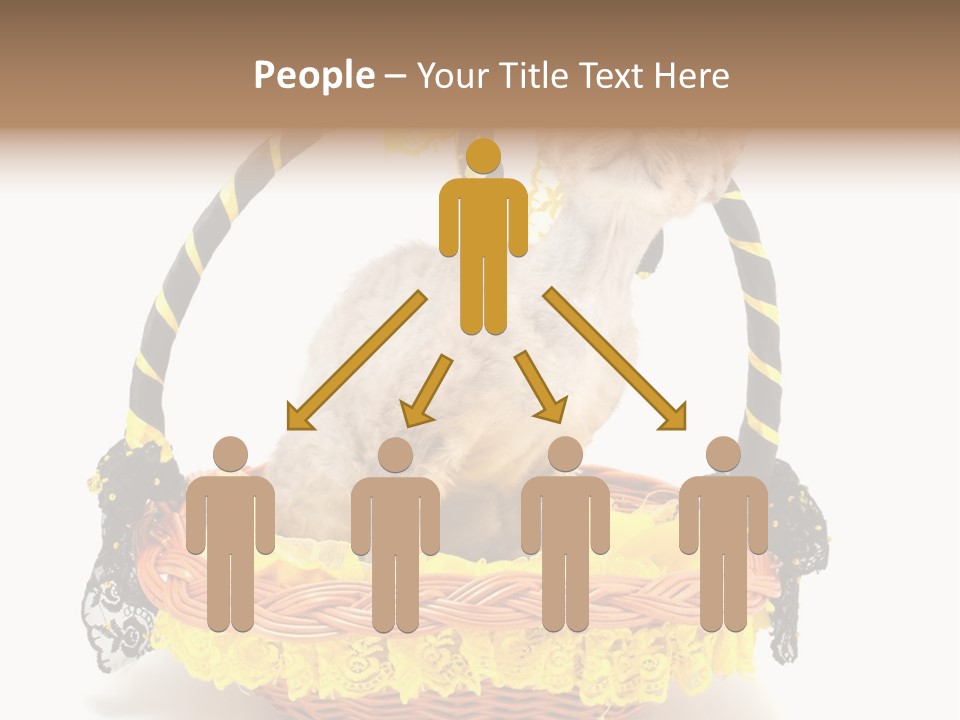 Pet Breed Devonrex PowerPoint Template