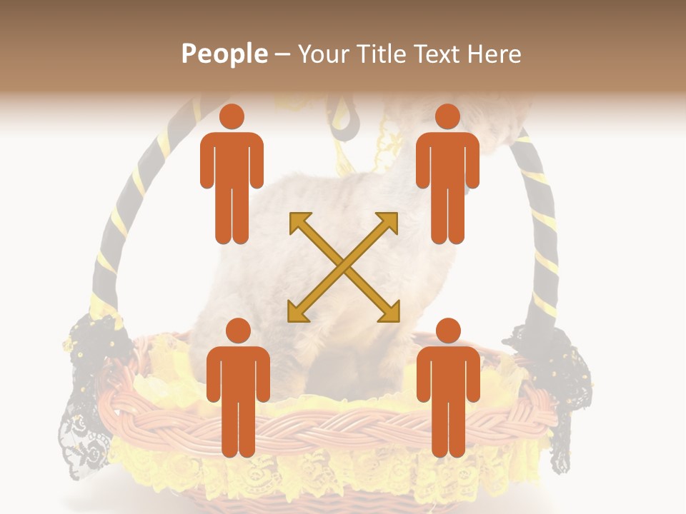 Pet Breed Devonrex PowerPoint Template