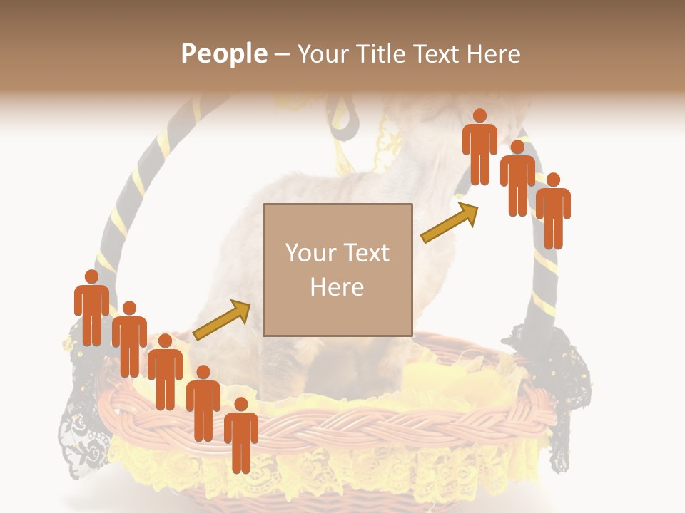 Pet Breed Devonrex PowerPoint Template