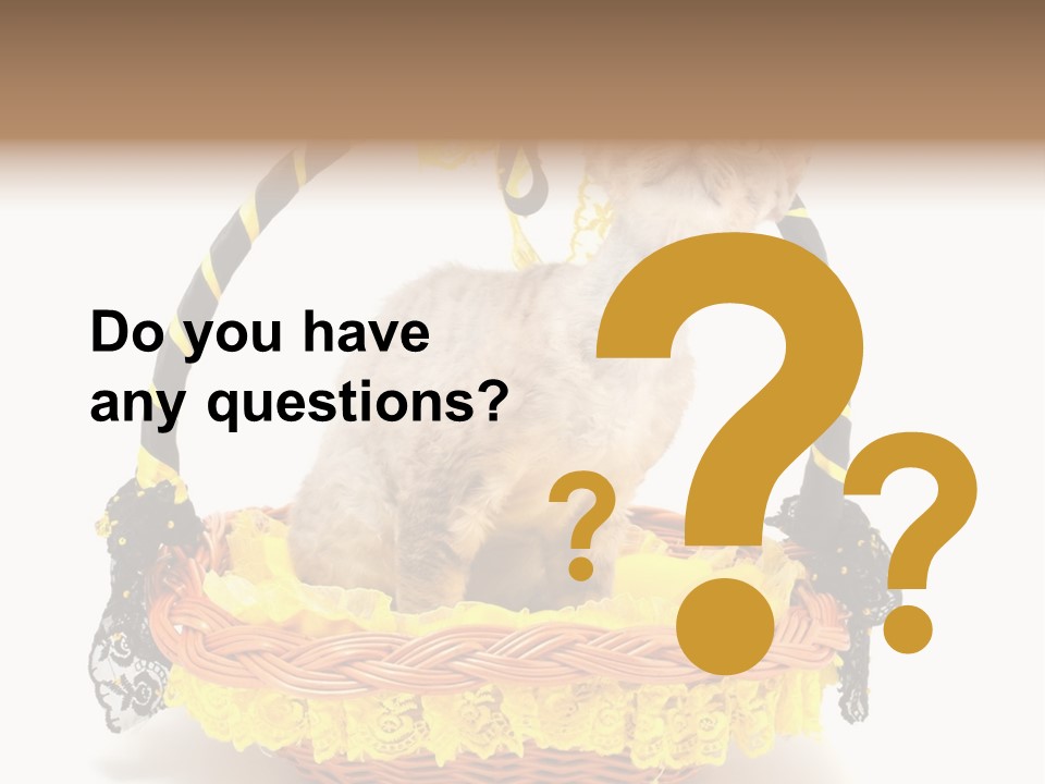 Pet Breed Devonrex PowerPoint Template